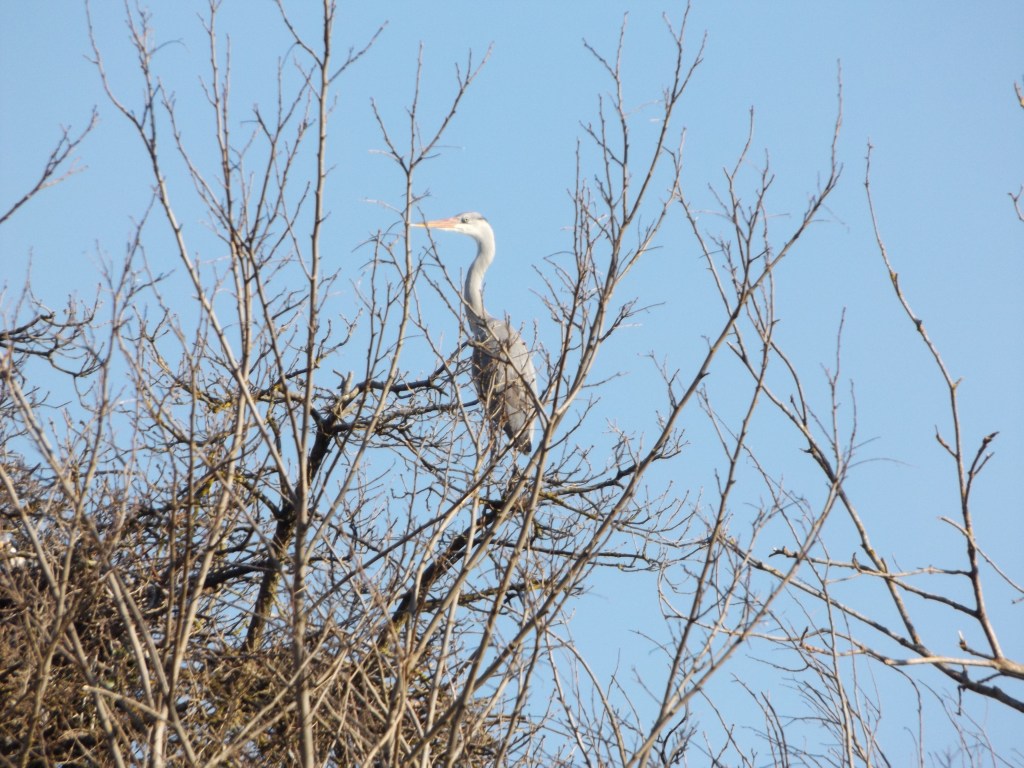 07 – Riserva naturale di Ripa&nbsp;Bianca