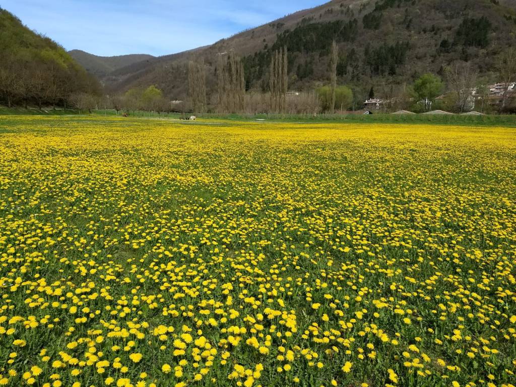 19 – Lungo il fiume&nbsp;Potenza