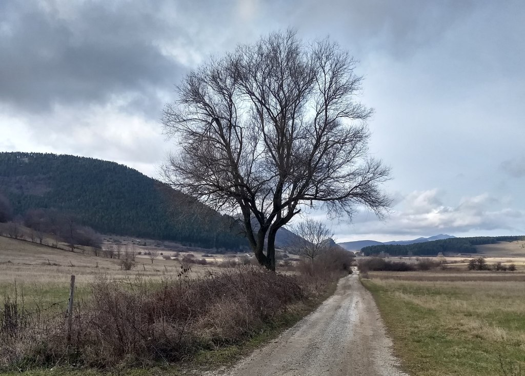 23 – Fonte della Cerasa